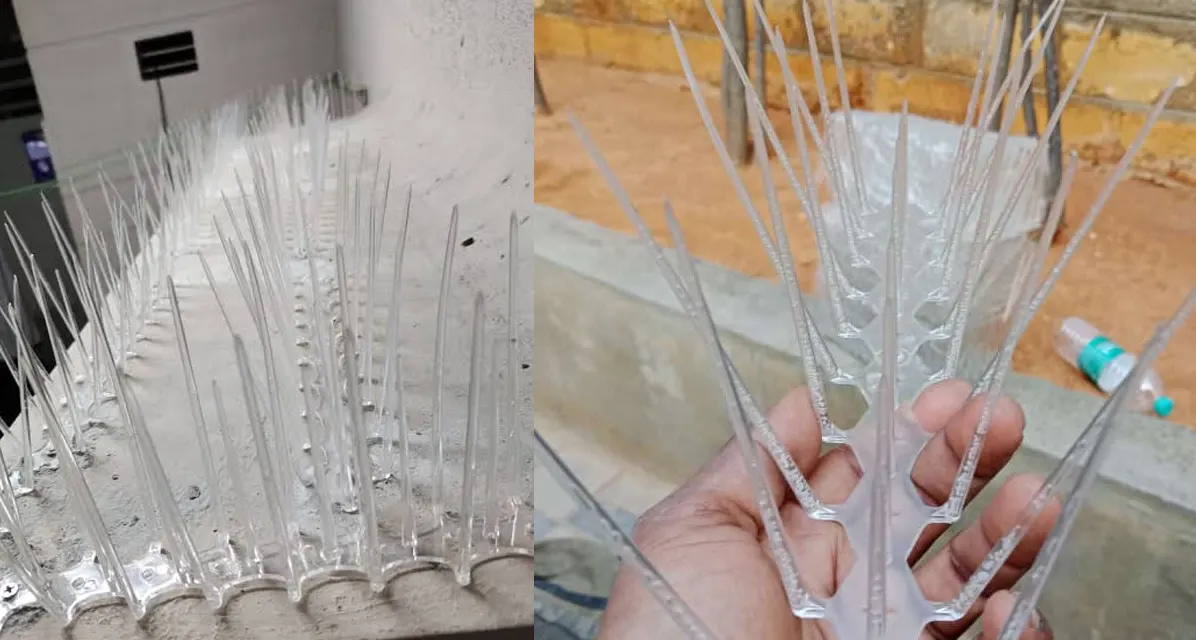 bird-spikes.php
